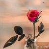 queenabi279