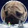 kevinlowhunboon