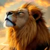 the.lion865