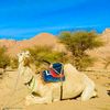 jassem7622