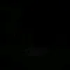 thayllane_e