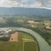 rosebellelys