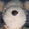 henllermoises2412