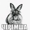 galaxy_pelmen