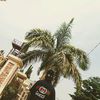 prosperolamide1