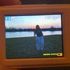 gabbiej16