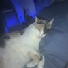 nick_19223k