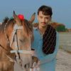 mainakhter