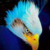 azizbek_8761