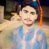 saqeebhassan8693