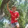 fabri22_10