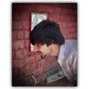 tiger__ali7452