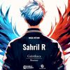 sah_ril03