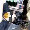 arieldiama0