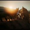 rowen_lambert