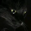 dark.1193