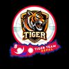 tigerteam31