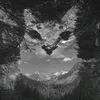 terrqi_4