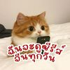 ฉันจะดูซีรีส์จีนทุกวัน