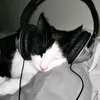 xabel_4