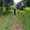 maybelingarcia503