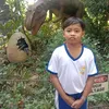awaaizhenlok