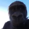 heeeluu0