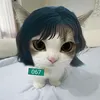 who.is.alex01