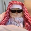 mo7amed_x0x