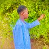 wdahmed000