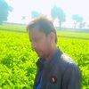 naveed.arrain