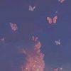 mary1butterfly