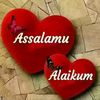 user3668720353746