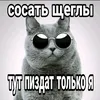 tverdyi_ponos228