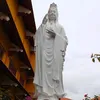 phuongtim9999