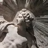 violasofia33