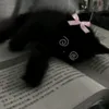 olivia.5552