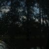 sinai_0528