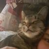 luna.navi