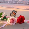 manalal3alam4