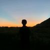 _folvic2227