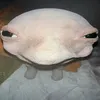 png2.0_atualizado