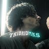 tribridmks_