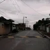 fanyoliveira670