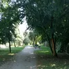 imadusmk0