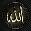 user2838582561197