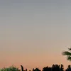 madiniamine5