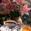 marilena354
