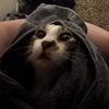 peanutlittle22