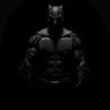 batmanxnfl